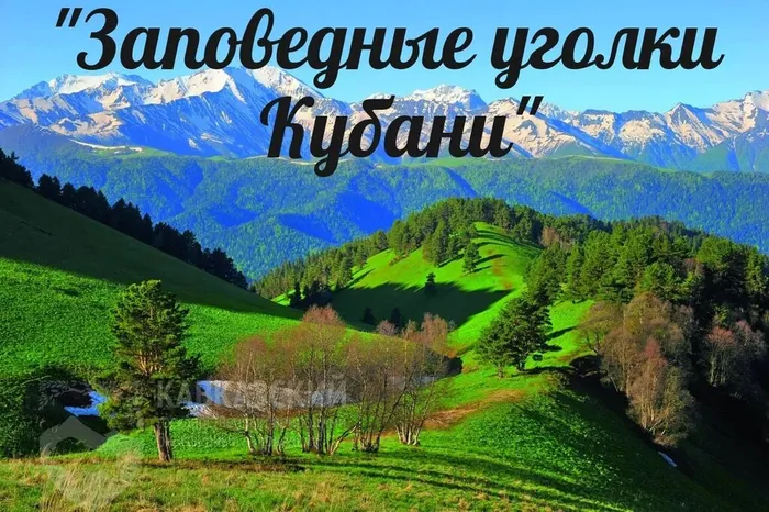0991af32-e543-4135-8b14-a9ae2cc5ef31