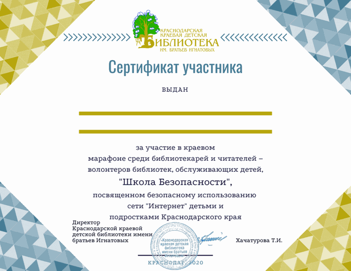 Сертификат Участника с печатью Школы безопасности